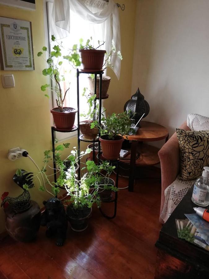 Guest House Vodolei Kotel Extérieur photo