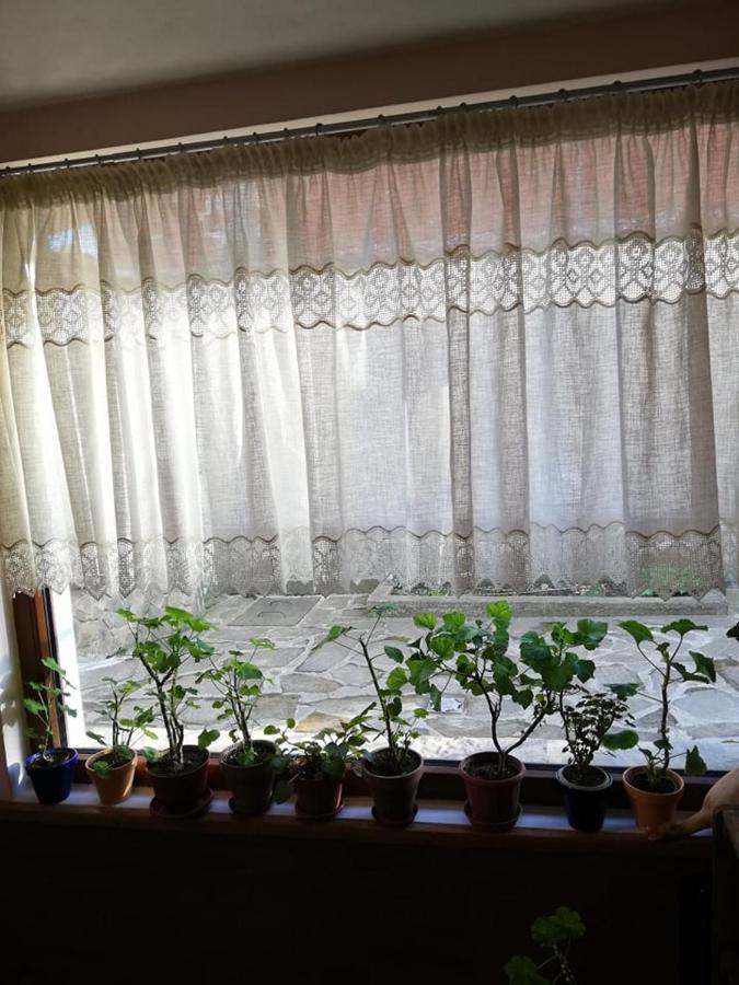 Guest House Vodolei Kotel Extérieur photo